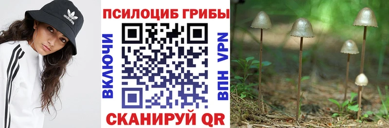 купить  цена  OMG рабочий сайт  Псилоцибиновые грибы ЛСД  Хвалынск 